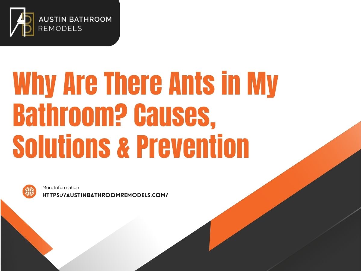 Why Are There Ants in My Bathroom Causes, Solutions & Prevention